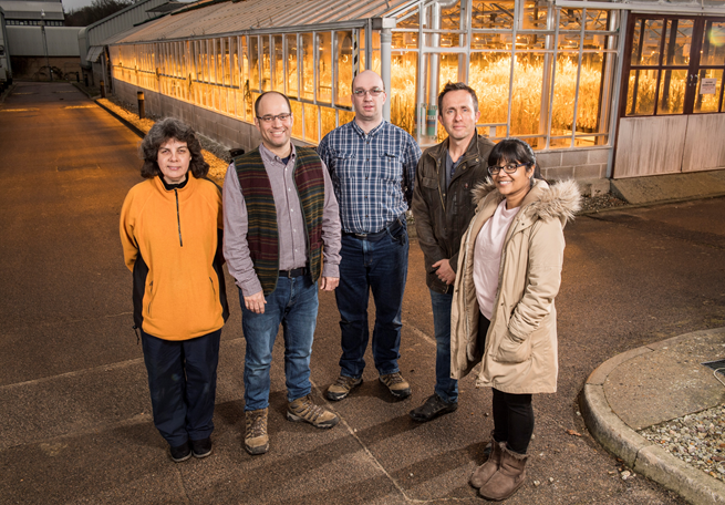 Core GRU Staff photo outside Regeneration Greenhouses, Spring 2018.