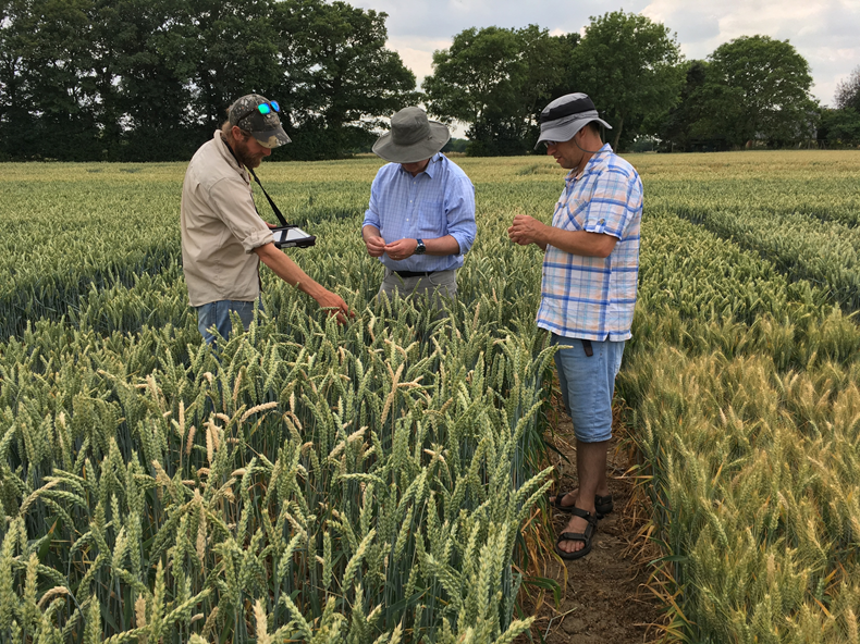 GRU / DFW Visit to Limagrain DFW Trial Site.